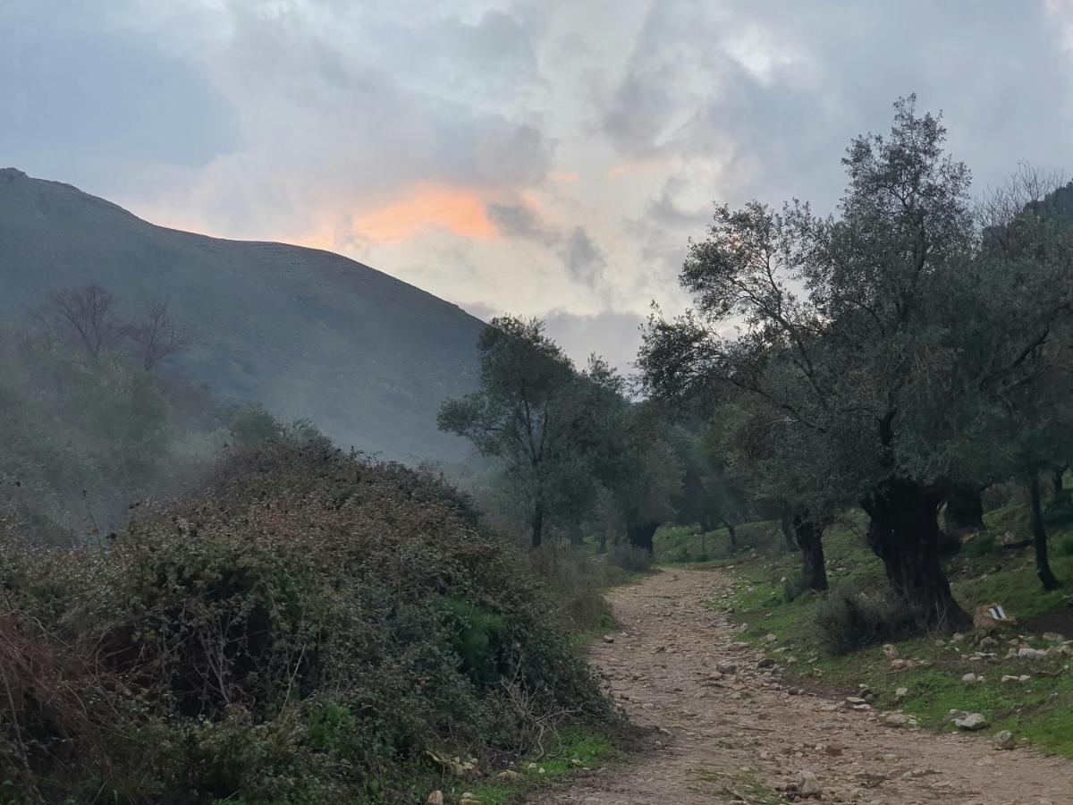 הפינה שלה -Hapina Shella ראש פינה העתיקה Villa Exteriör bild